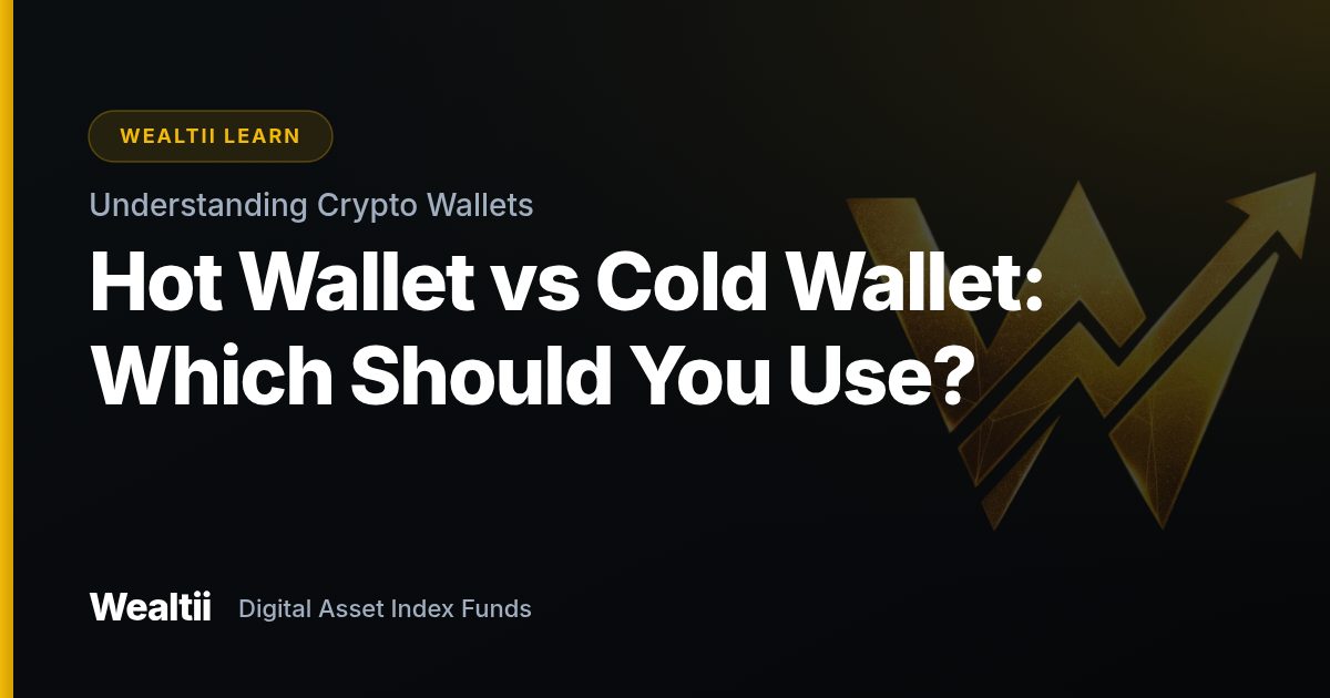 Hot Wallet vs Cold Wallet: Which Should You Use? — Wealtii Learn Center