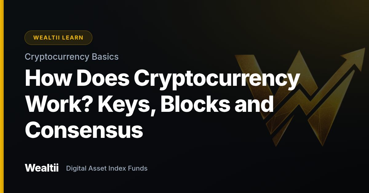 How Does Cryptocurrency Work? Keys, Blocks and Consensus — Wealtii Learn Center