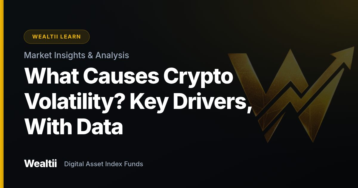 What Causes Crypto Volatility? Key Drivers, With Data β Wealtii Learn Center