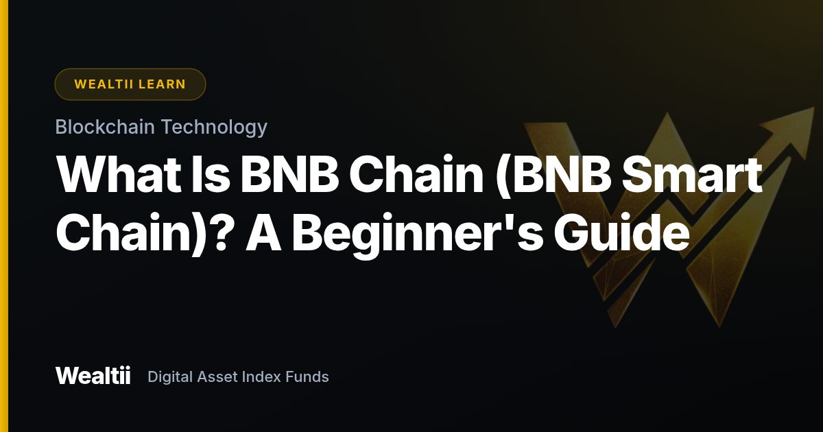 What Is BNB Chain (BNB Smart Chain)? A Beginner's Guide — Wealtii Learn Center