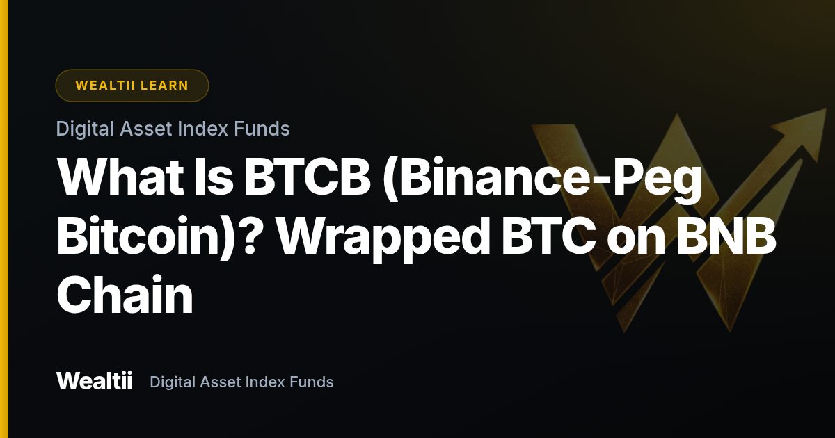 What Is BTCB (Binance-Peg Bitcoin)? Wrapped BTC on BNB Chain — Wealtii Learn Center